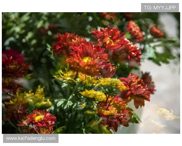 娱乐凯发唯一带你体验最精彩的线上娱乐盛宴，尽享无限欢乐与刺激