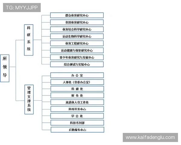 K8体育大全：全面覆盖各类体育赛事与最新资讯的权威平台